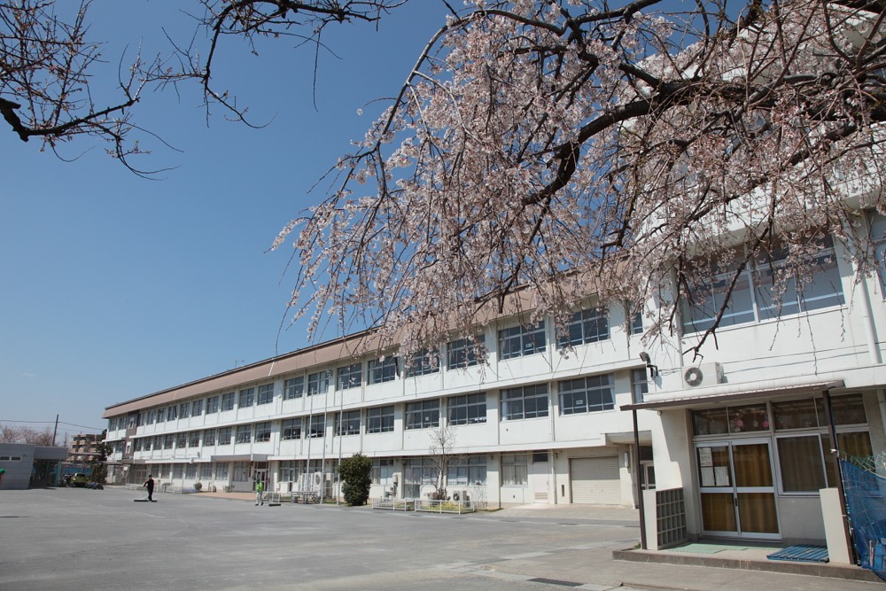 稲城市立稲城第四小学校の桜