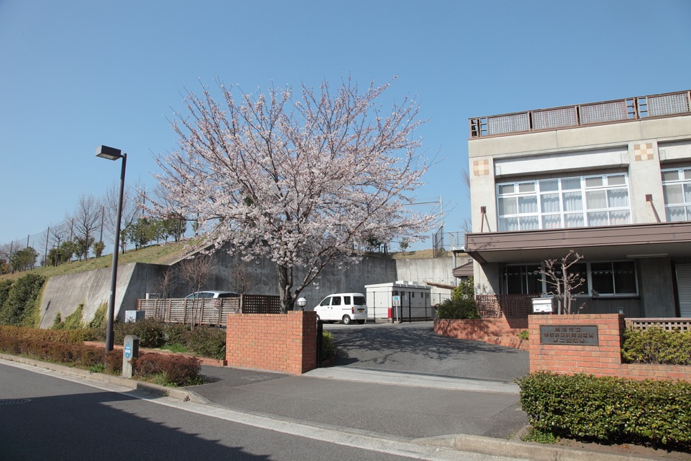 稲城市立学校給食共同調理場 第二調理場の桜