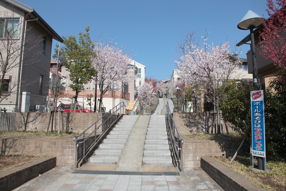 桜のある階段