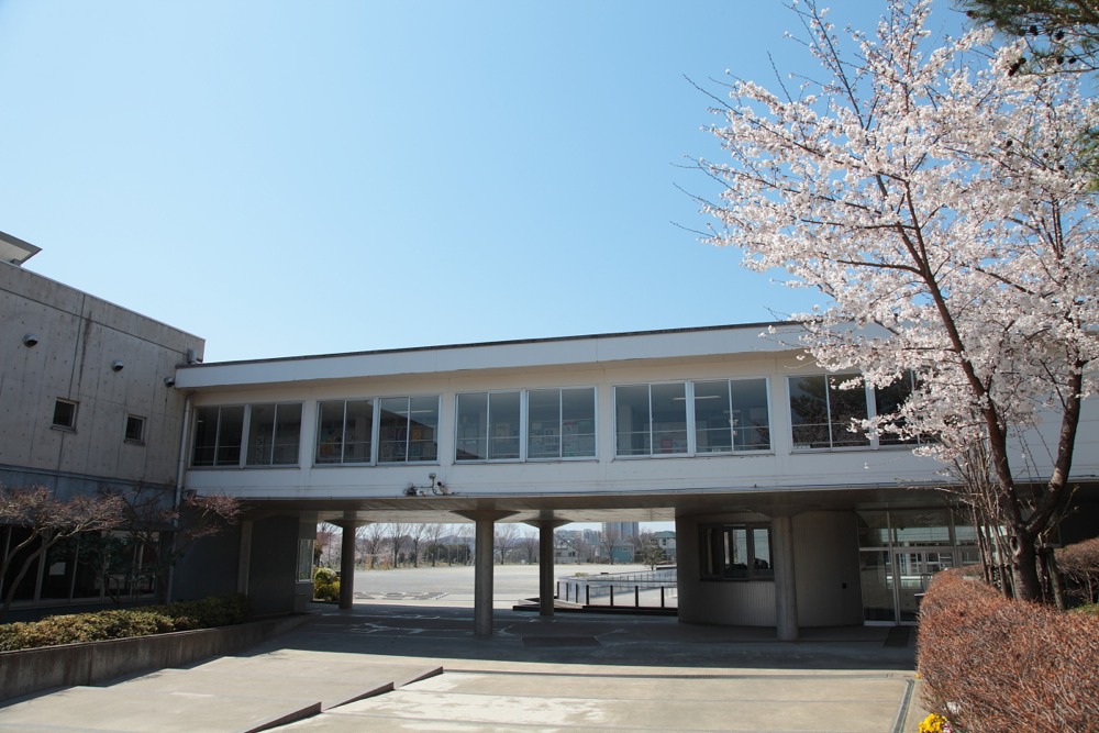 稲城市立長峰小学校の桜の木