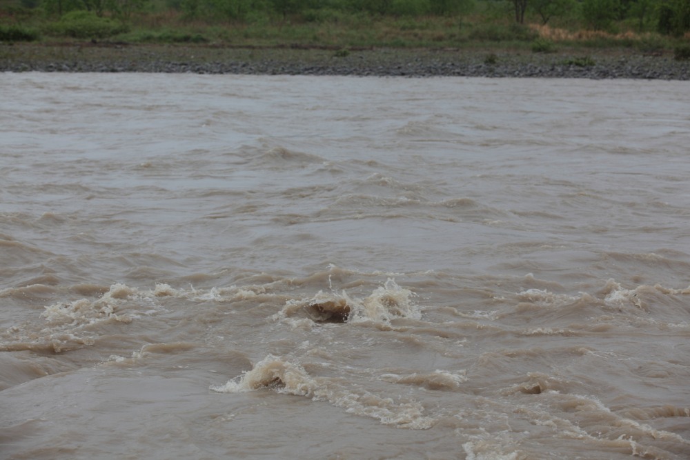 大雨による濁流の多摩川