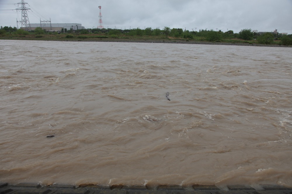 大雨による濁流の多摩川