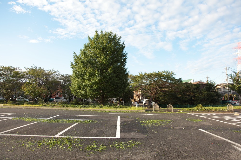 車場 駐 緑地 公園