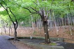 稲城中央公園